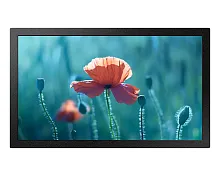 Широкий выбор Samsung LH13QBREBGCXCI 13" дисплей 300nit, Anti-Glare, 16/7, FHD, Wifi, L/T техники: телевизоры, аудиосистемы, проекторы и многое другое. Гарантия качества, доставка по Казахстану, выгодные условия рассрочки 0-0-24 и программа Trade-In.